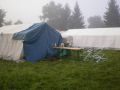 feld14