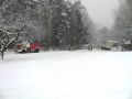 img_1621