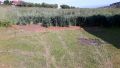 IMG-20160528-WA0015