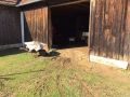 IMG-20160528-WA0033