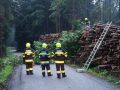 Baumbergung4