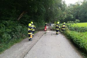 Baumbergung 31.08.2018