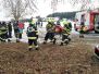 Branddienstleistungsprüfung