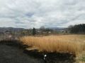 IMG-20170330-WA0020