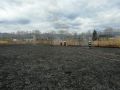 IMG-20170330-WA0024