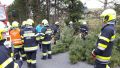 Bild_002