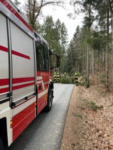 Baum über Straße