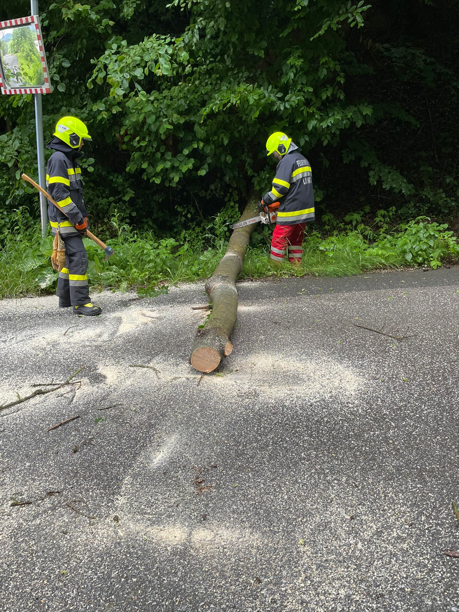 Baum über Straße