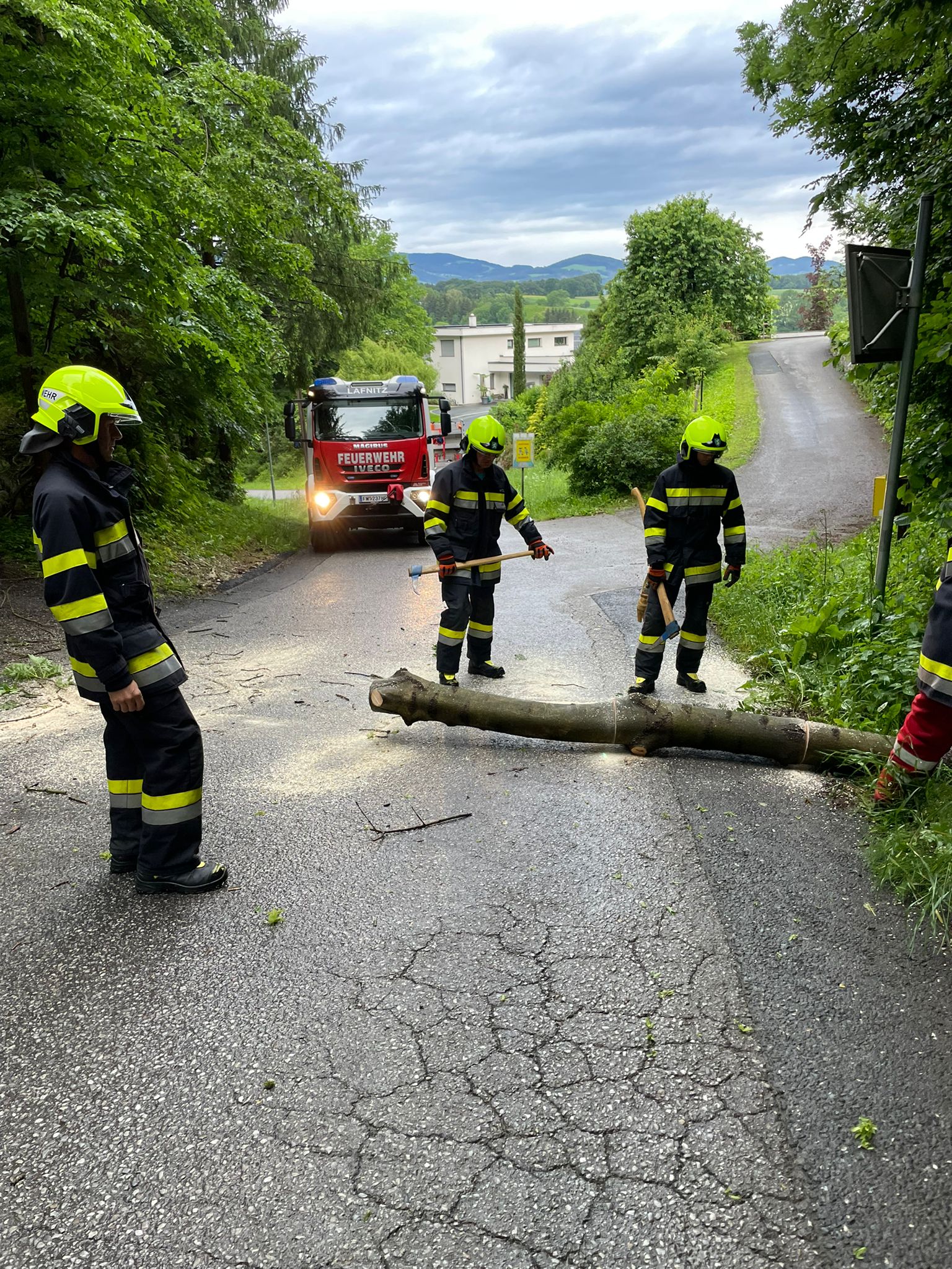 Baum über Straße