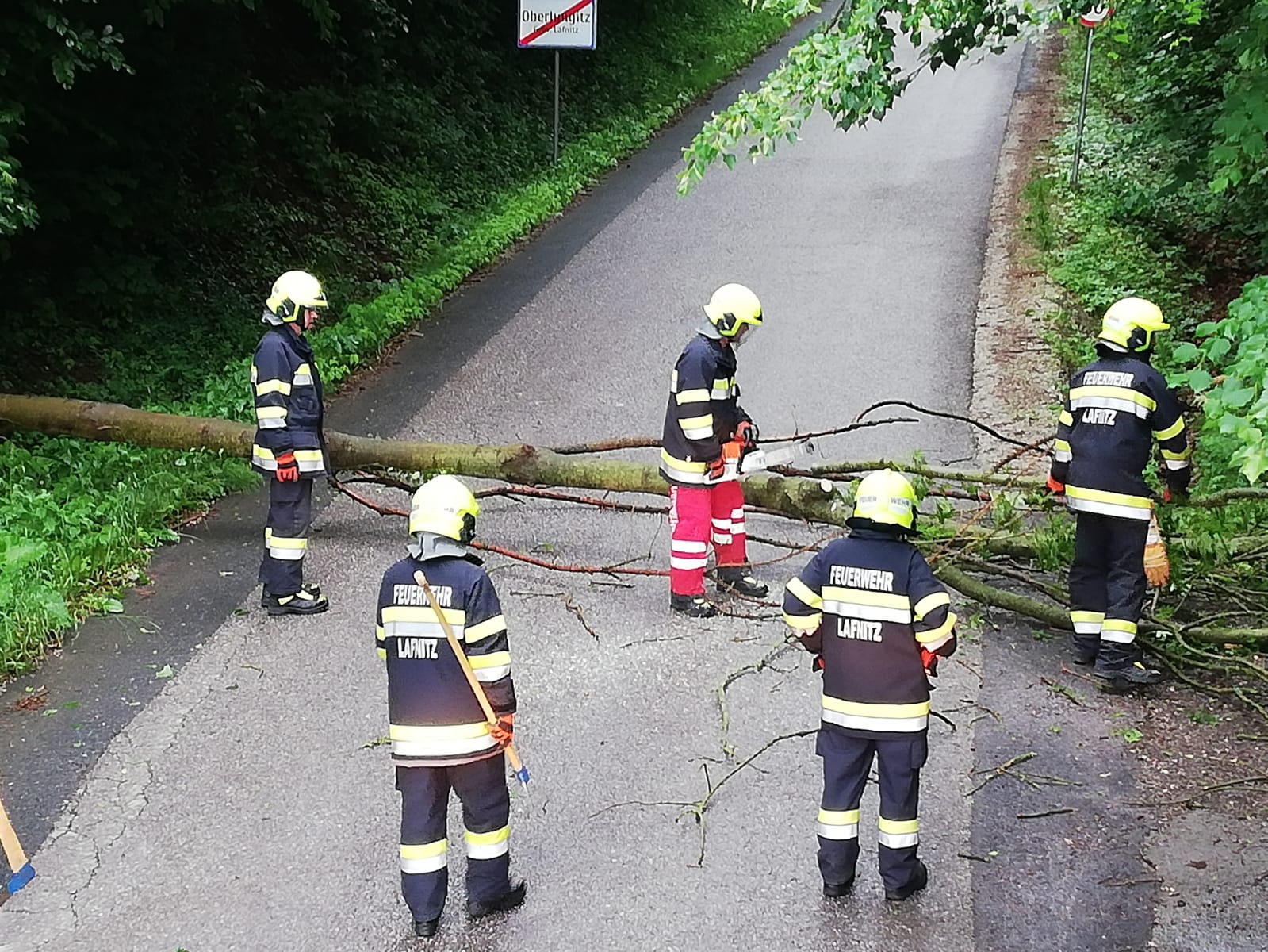 Baum über Straße