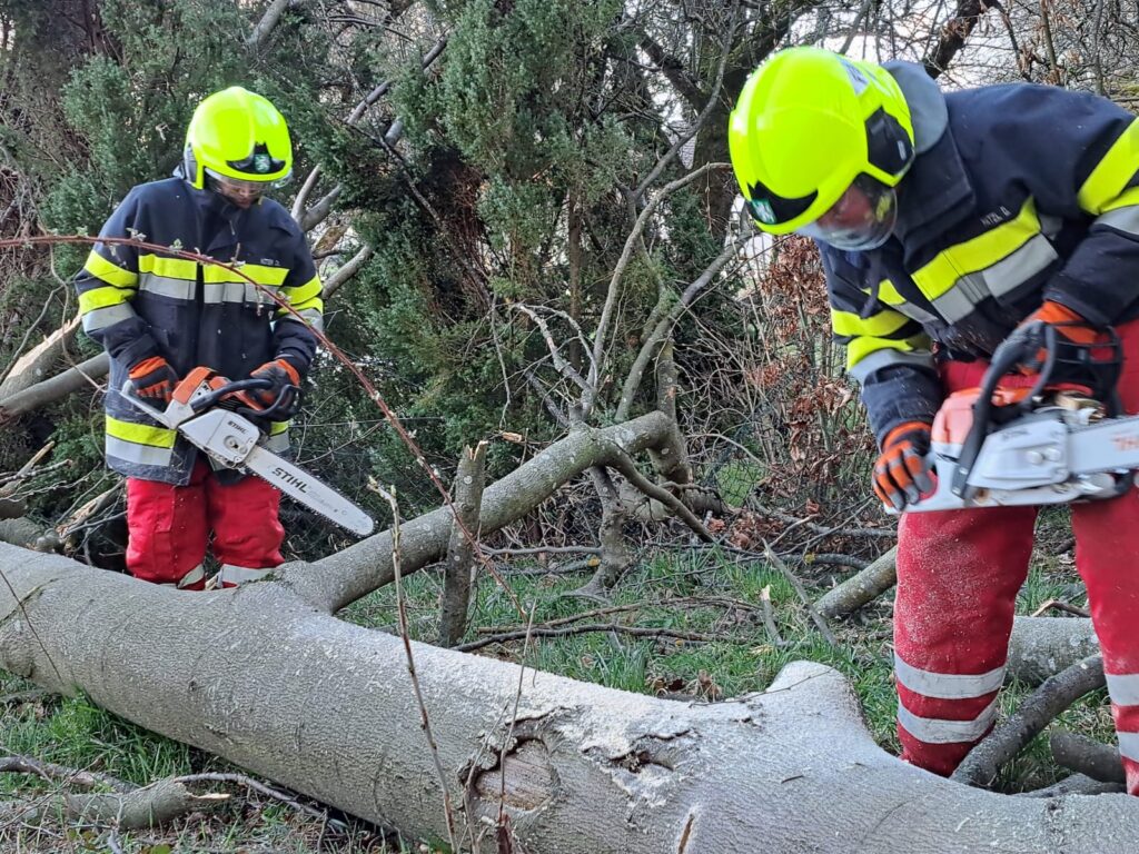 Baum über Straße