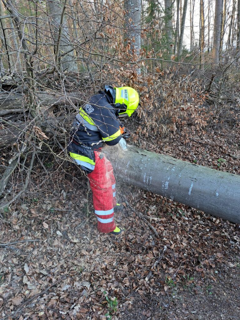 Baum über Straße