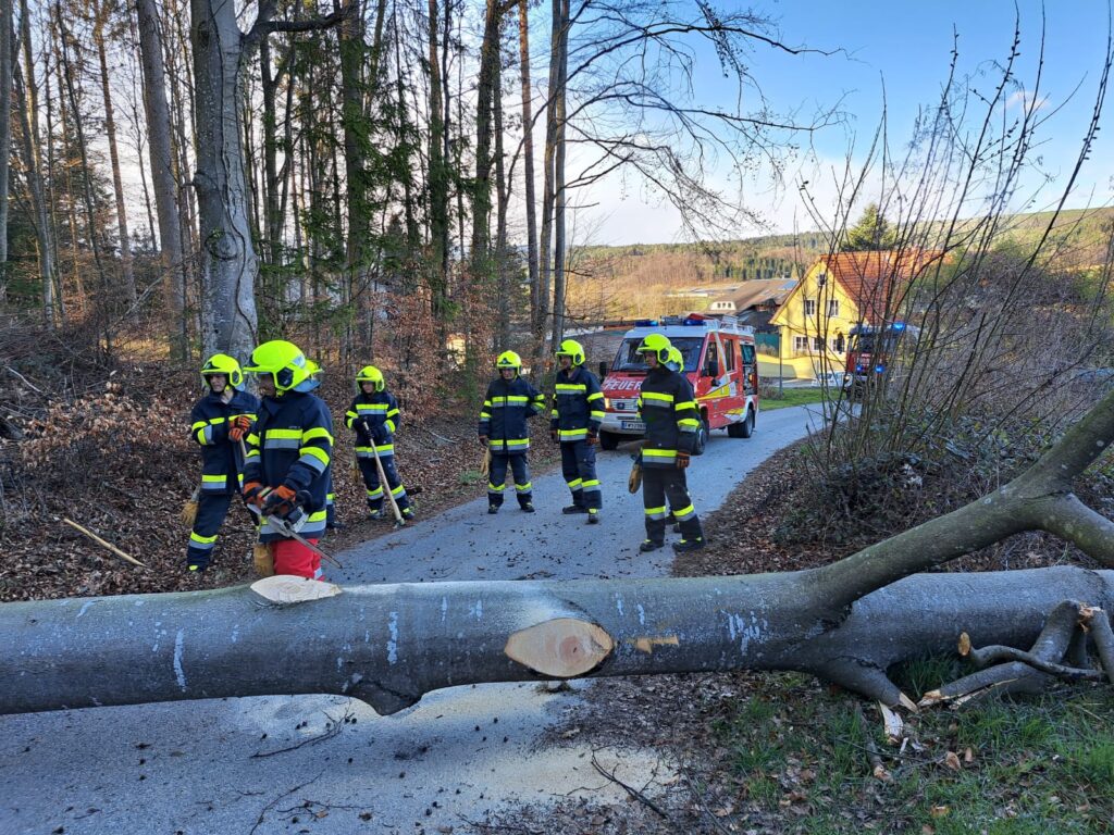 Baum über Straße