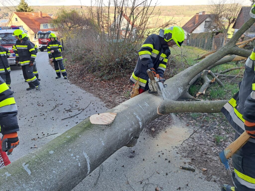 Baum über Straße