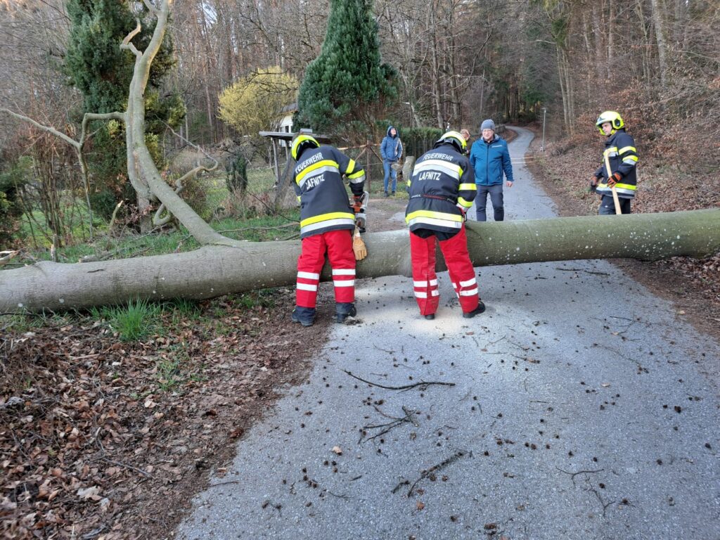 Baum über Straße