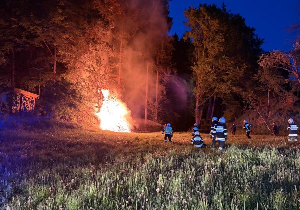 Einsatz: Waldbrand in Grafendorf