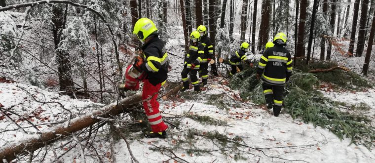 Einsatz: Baum über Straße 28.11.2021