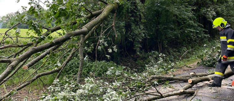 Einsatz: Bäume über Straße 21.05.2022