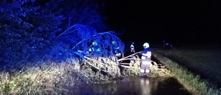 Einsatz: Baum über Straße