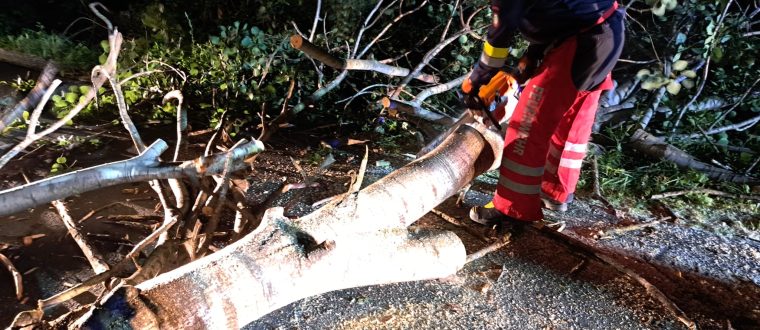 Einsatz: Baum über Straße