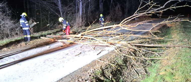 Einsatz: Baum über Straße