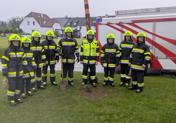 Baumpflanzchallenge 2025