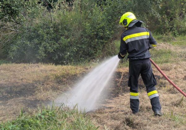 Einsatz: Wiesenbrand