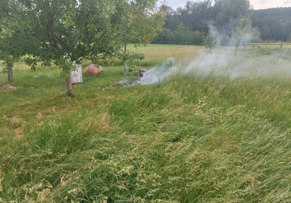 Einsatz: Kleinbrand in der Lafnitzer Haide