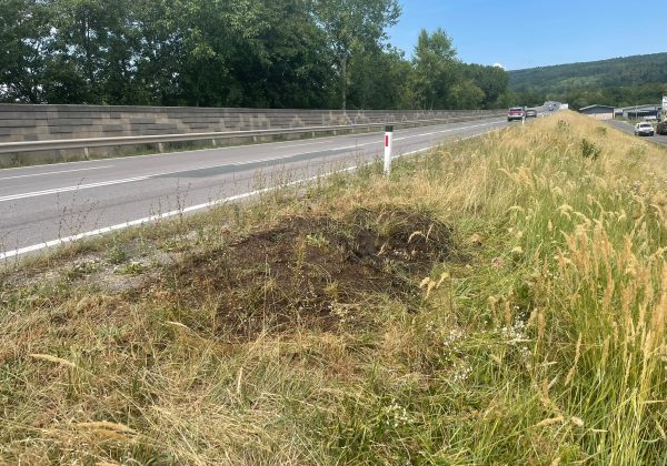 Einsatz: Wiesenbrand