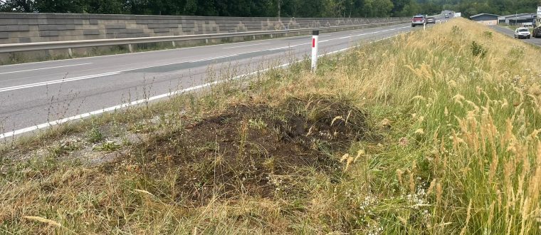 Einsatz: Wiesenbrand