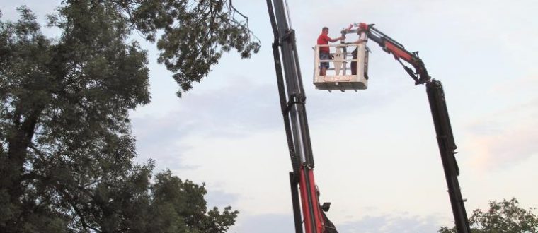 Blitzschlag spaltete Baum 23.07.2015